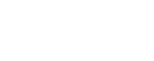 ai-overview