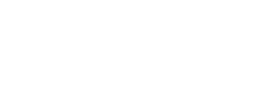 perplexity
